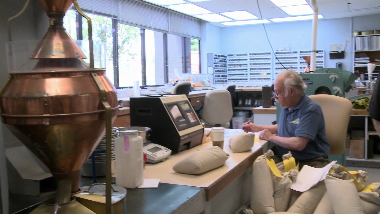 WSDA's Grain Inspection Program YouTube