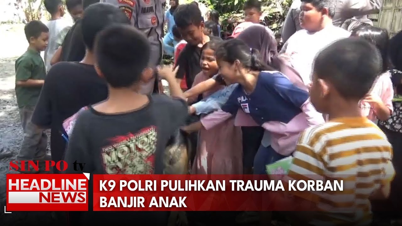 K9 Polri Pulihkan Trauma Korban Banjir Anak