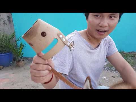 Video Husky cắn gà nhiều thì làm gì ???????????????????? - youtube