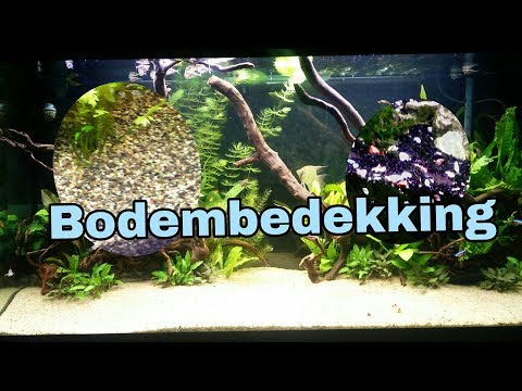 BODEMBEDEKKING aquarium, zand of grind? voedingsbodem? //Nickey//