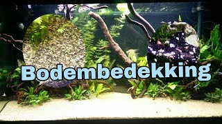 Waterig Eed Goodwill BODEMBEDEKKING aquarium, zand of grind? voedingsbodem? //Nickey// - YouTube