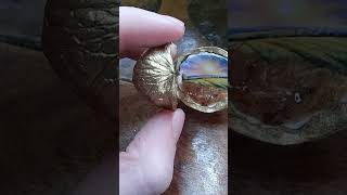 Crafting Tiny Dioramas In Walnut Shells #creative #diy #scratchbuild #art