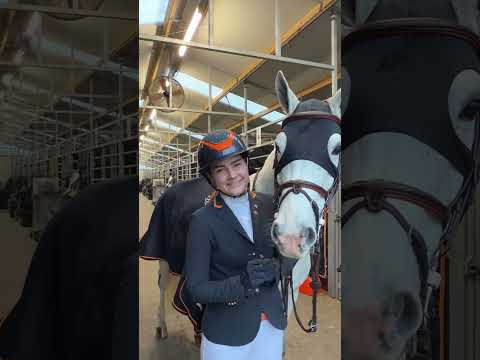 Vlinder kaart met SL-ES-CD1074 van Studiolight.