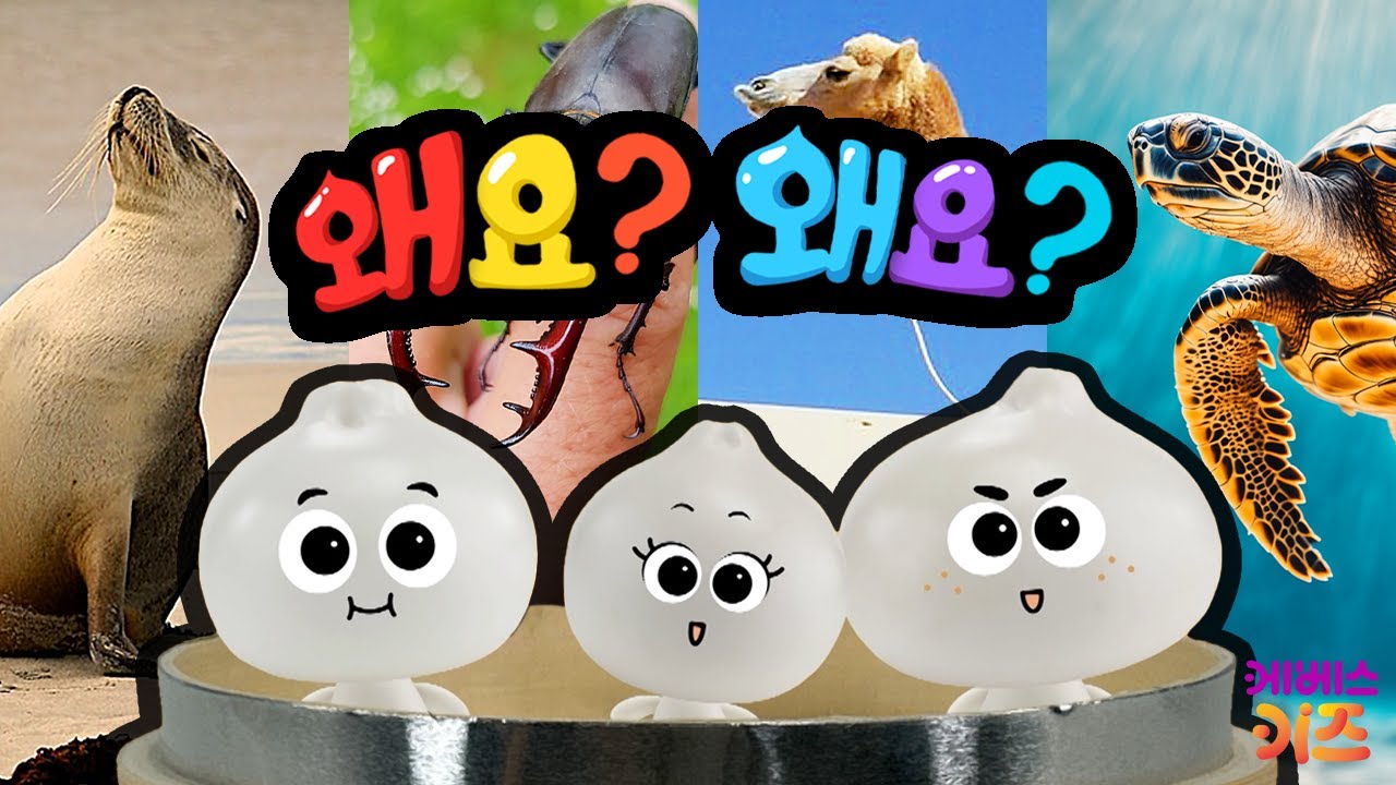 ⁣물개, 바다거북, 사슴벌레, 낙타는 왜?ㅣ만두의 호기심은 계속된다~ 쭈욱!ㅣ왜요? 왜요? 궁금할 만두 모아보기ㅣKBS 방송