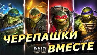 картинка: RAID: ЧЕРЕПАШКИ ВМЕСТЕ - ЗАКРЫЛИ ВЕСЬ КОНТЕНТ 🔥🔥🔥🔥ЛЕОНАРДО РАФАЭЛЬ МИКИЛАНДЖЕЛО ДОННИ (ГАЙД/ОБЗОР)