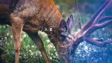 Cinematic Parallax Slideshow After Effects Templates