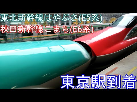 新幹線 東北 秋田新幹線 E5系 E6系 はやぶさ こまち連結 東京駅着 Youtube