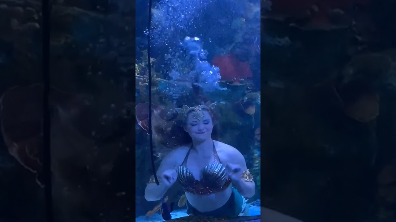#mermaidshow