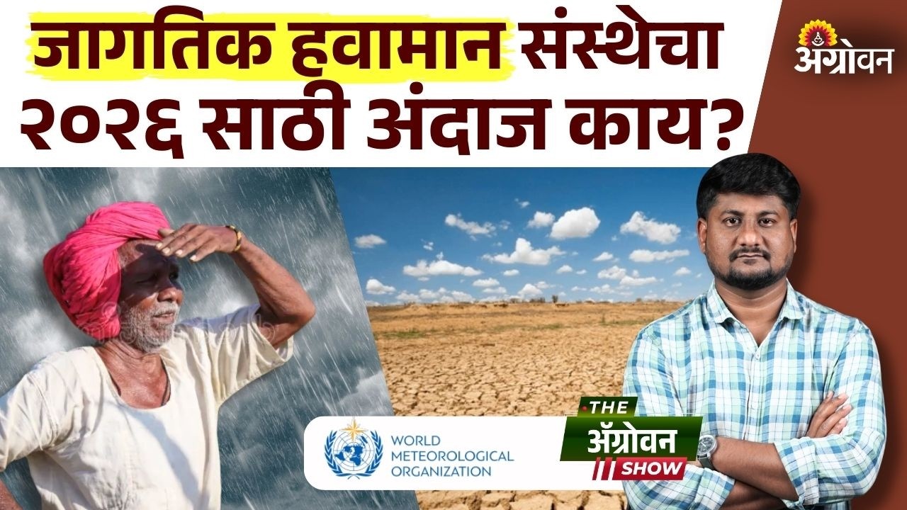 El Nino 2026 : जागतिक हवामान संस्थेने एल निनो सक्रीय होण्याचा अंदाज दिला? | Argowon