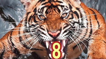 Tiger Kung fu for Beginners l Self Defense | tiger vs Leopard