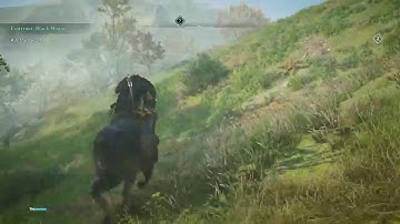 Week 25 Ubisoft Connect Reset and more Assassins Creed Valhalla