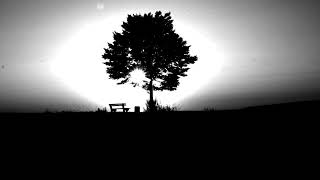 Microtrauma - Rooftop (Traum 240)