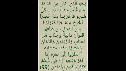 سورة الأنعام اية رقم 99