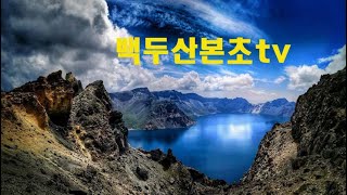 종급산삼/건토에서 발견한 종급산삼 채심영상