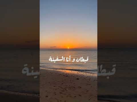 ابنى وصاحبي