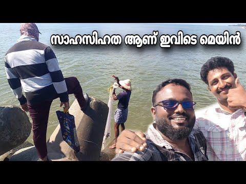 Why not jump into the sea with the dolphin..😜 Neendakara | Kollam | Fishing Harbour Kollam