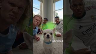 The Chihuahua Had a Surprise for Haaland, Mbappé and Yamal 