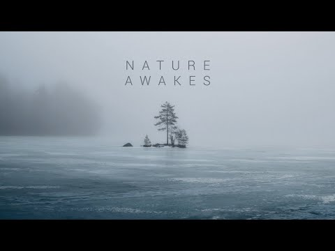 NATURE AWAKES in Espoo | 🇫🇮 FINLAND TRAVEL