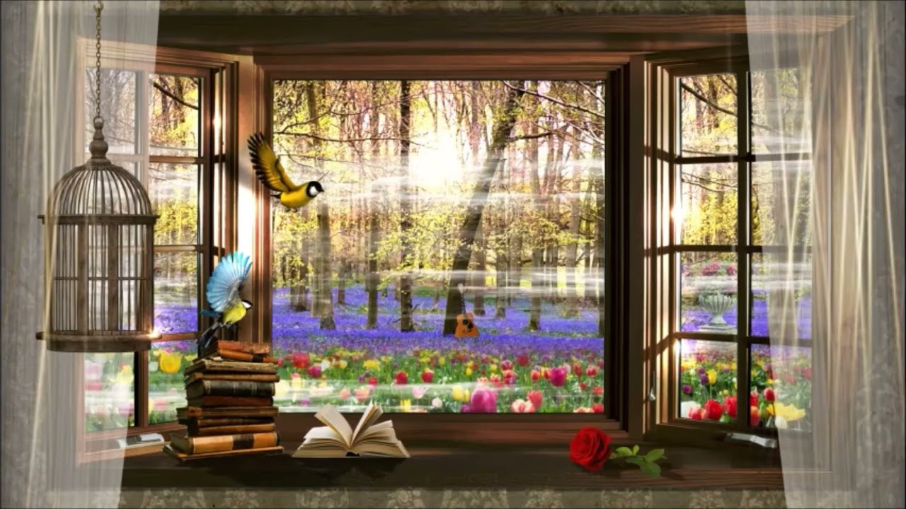 Blue Ohio Railroad Gang - Holy Rebel (Lyric Video)