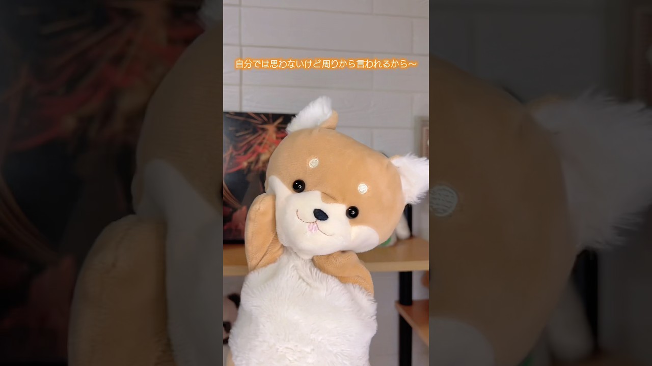 天才です✋✨️ #ぬいぐるみ #stuffedtoy #fypシ
