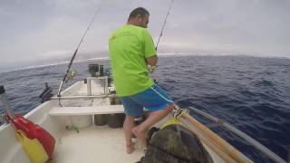 Pesca de dentones con jibias vivas #3 !!