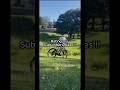 Rating my subs bikes! #mtb #viral #shorts