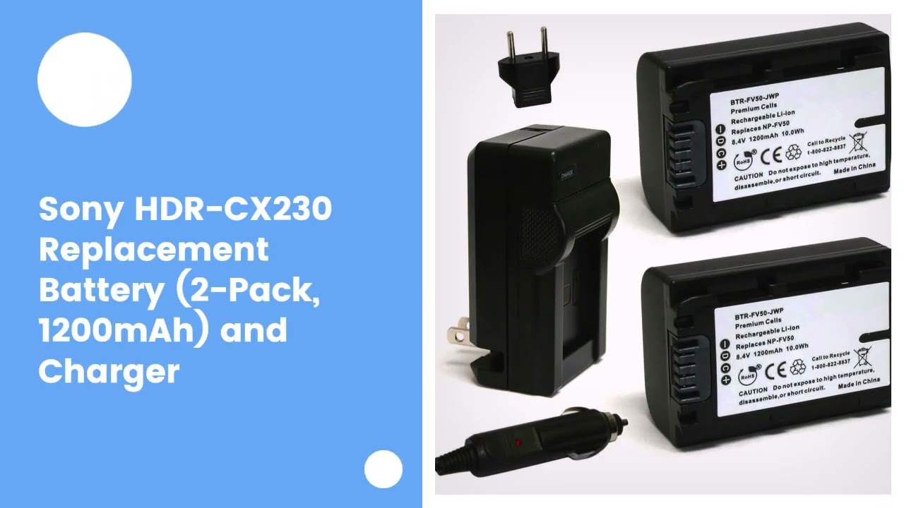 Sony HDR-CX230 Replacement Battery (2-Pack, 1200mAh) and Charger