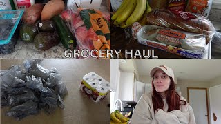 Grocery Haul | Snacks & Meals by Rebekah Fohr 69 views 6 months ago 8 minutes, 10 seconds