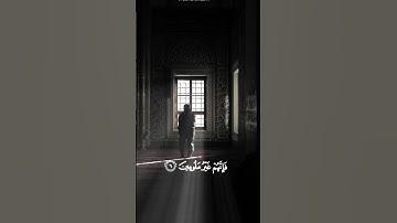 قد أفلح المؤمنون هشام الهراز من سورة المؤمنون [4k no copyright]