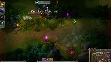 Never Chase A Maokai