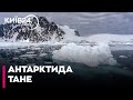 Вчені б'ють на сполох: Антарктида тане непрогнозовано швидко