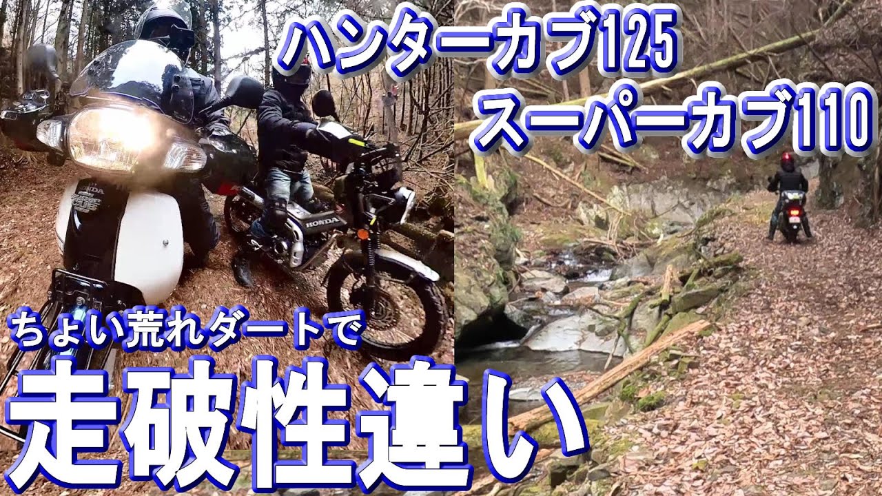 スーパーカブ110vsハンターカブ～ちょい荒れダート林道走行中にわかった走行性能(走破性)の違いと、楽しい林道マスツーの様子　