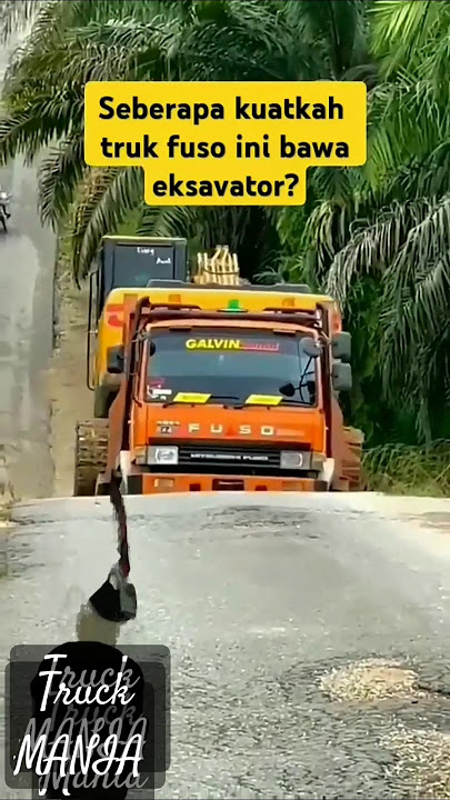 TRUCK MANIA || TRUCK BAWA ESKAVATOR DITANJAKAN #automobile #driver #sawit #storywa #excavator