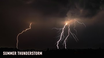 The Juniper Phase  |  Stock Field Recording Demo (Zoom H2n/4ch Surround)