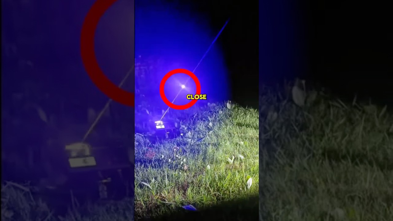 The Most ELITE Way to Kill Mosquitoes 🦟 