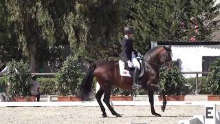 Top quality lusitano stallion, son of the olympic rubi ar. this
impressive horse has a vast competition experience, having
vice-champion title for young ri...