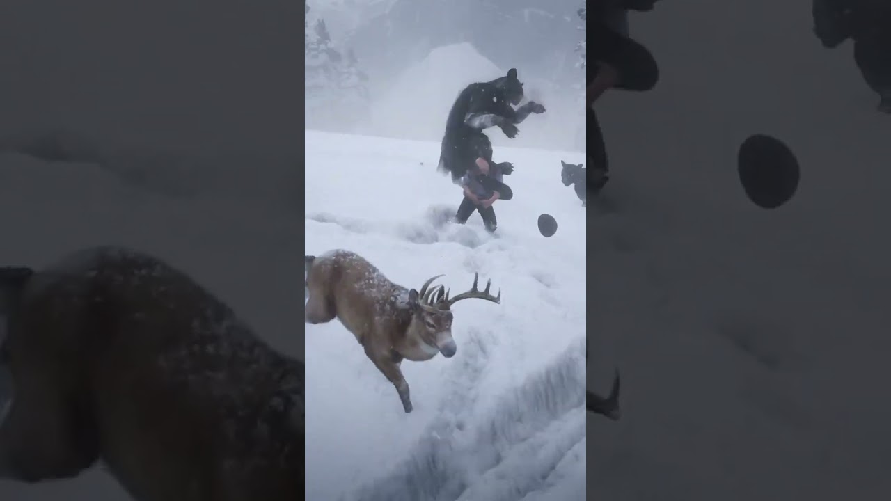 Experts in survival in the wild world | p3188 , 