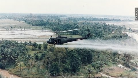 What Agent Orange Does To The Body