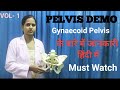 Pelvis  typesjointsligamentlandmarks by sweta parikh female pelvispelvis demopelvis bone