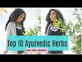 Top 10 Ayurvedic Herbs For Hair Growth | Hair growth challenge