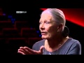Vanessa Redgrave Interview with Mark Lawson | Part 3
