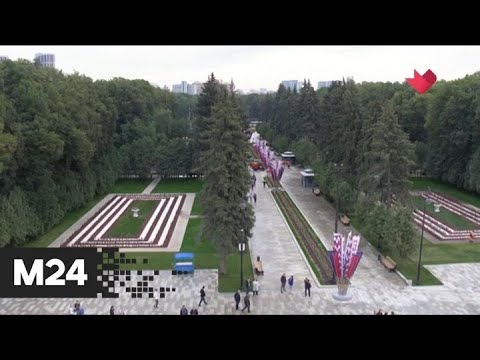 "Это наш город": более 70 тыс человек посетили Северный речной вокзал со дня открытия - Москва 24
