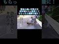 初対面の人に散歩してもらったら甲斐犬豹変!?制御不能に!