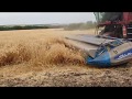 Уборка пшеницы очесывающей жаткой Shelbourne, Луганская обл.