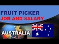 Fruit Picker Salary in Australia - Jobs and Wages in Australia