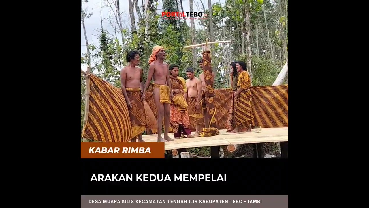VIDIO LENGKAP Acara Adat Pernikahan Suku Anak Dalam di Tebo - Jambi