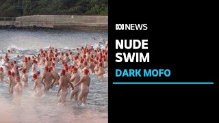 Hundreds strip off for 'adrenaline-inducing' nude swim at Dark Mofo | ABC News