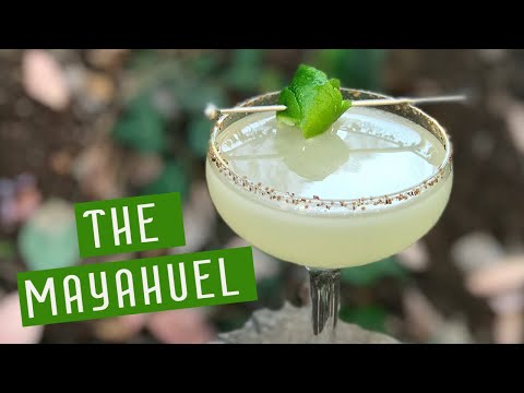 Wideo: Według Bartenders 9 Najlepszych Tequili (i 3 Mezcals) Dla Palomasa
