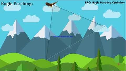 Eagle Perching Optimizer - A model-free global optimizer