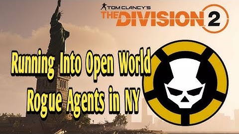The Division 2 - Running Into Open World Rogue Agents